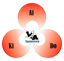 logo_aikido_tsst.png